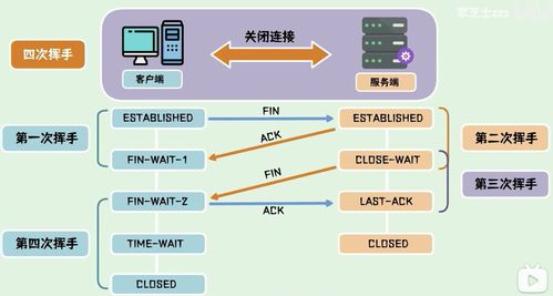计算机网络知识详解 从基础到应用