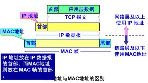 计算机网络笔记整理 网络层