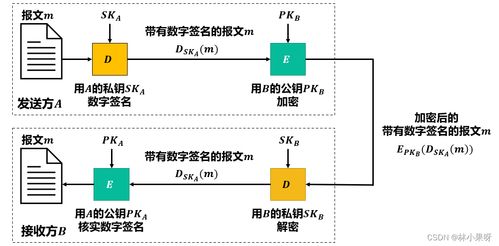 计算机网络之网络安全 守护数字世界的无形防线