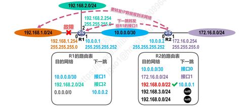 计算机网络体系结构探析 聚焦网络层与协议P4.2的演进